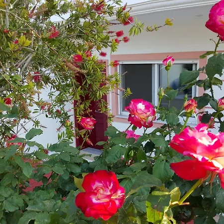 Smart * 루트라키